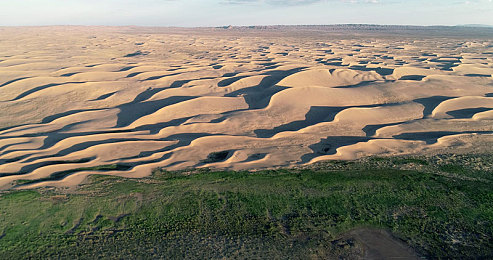 aqdybp社保片地址是多少：虚拟赛道安全成焦点，极品飞车新攻略倡导驾驶责任感
