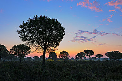 日本 奴役 捆绑 受虐狂：在规则的镣铐中，跳一场关于速度的禁忌之舞-1