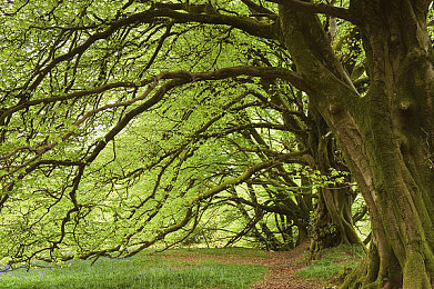 国产AV不：东方竞速新纪元，国产赛车巨制以文化自信征服全球玩家