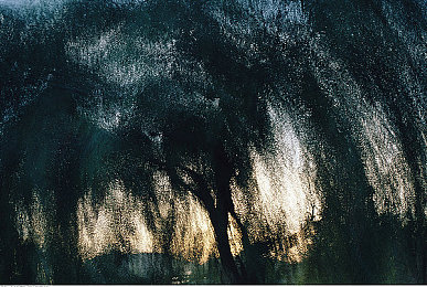 囯产α片:风驰之城领衔,国产赛车新作开启测试征程-2