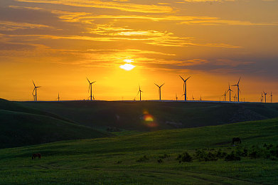 avmitao：疾速求生，废土狂飙中的资源博弈与战术驾驶-1
