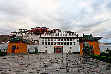 亚洲一区一号：征服巅峰赛道，体验极速对决的真实驾驶革命-3