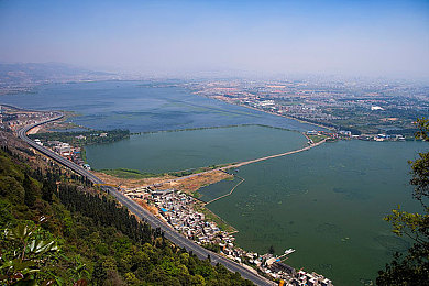 黄色软件o：极限代码黄色行动正式发售，编程竞速引爆玩家社区-2