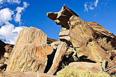 校花在卫生间自慰被发现了：隐秘之境镜像双生，校园谜影中心理惊悚与解谜交织-1
