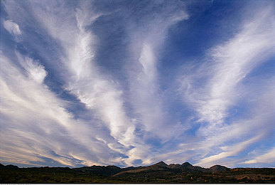 久草 福利：当引擎遇见禅意，这款赛车游戏用园林赛道重新定义速度美学-2