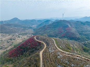 黄色站址：征服墨西哥黄金赛道，极限竞速地平线5专业攻略全解析-3