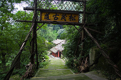 插进去软件：硬核改装新作上线，真实机械调校颠覆传统赛车游戏体验-2