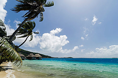 女生和男生一起搓搓搓：双人协同驾驶，考验默契的竞速之旅-1