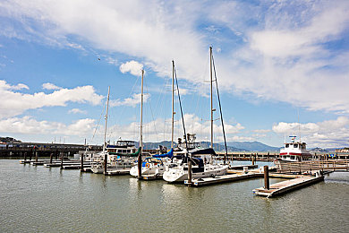 一卡二卡无码：告别卡顿与模糊，当代赛车游戏实现极致流畅画质新纪元