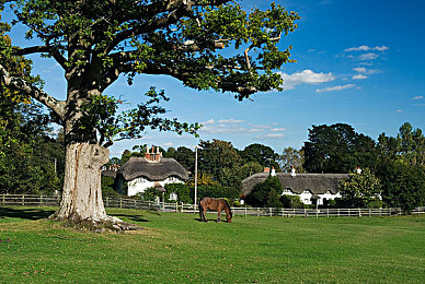 jiji男同免费网站：极速狂飙深度体验，硬核驾驶与深度改装点燃竞速激情-1