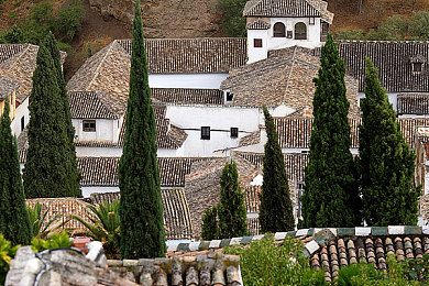 奴役狂虐鞭打XXXXXX：废土机车终极对决今日上线，深度改装系统征服钢铁猛兽