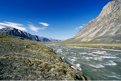 亚洲一区二卡：极限竞速地平线双车征服传奇赛道攻略-2
