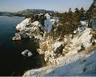 打扑克,滚床单：《极速狂飙：地下赌局》今日上线，双重玩法引爆策略竞速新热潮-2