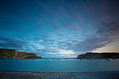 福建奶牛大菠萝：田园竞速新体验，牧场狂飙融合经营乐趣-2