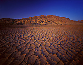 男生和女生擦擦擦app：极速交锋，性别特技赛道上的心智博弈与团队共舞