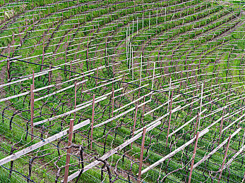 黄色在线观看APP:极速狂飙,用视觉征服赛道,体验动态竞速新纪元-2