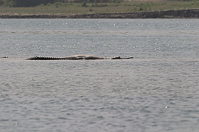 体育生被干：草根车手逆袭之路，用意志征服极限赛道-2