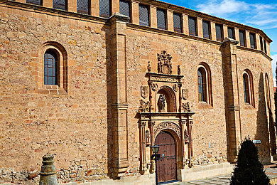 成人激情TV：极限竞速地平线5深度评测，墨西哥狂野驾驶与季节攻略全解析