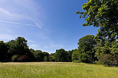 国精产品一二三区精：华夏座驾驰骋数字疆场，地平线上的东方引擎传奇