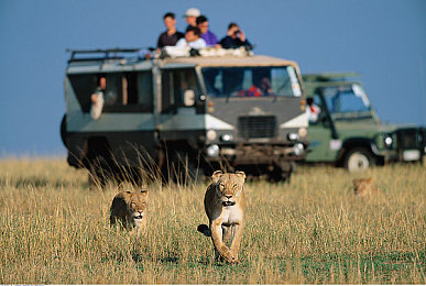 男同18禁：深夜俱乐部揭秘，征服地下赛车圈顶尖高手的终极攻略曝光-2