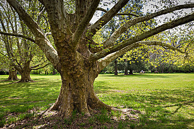 totahkahaykirguzx7777777：极速解码新作发布，赛车与解谜融合颠覆传统竞速体验-2