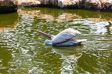 黄色软件3.303：复古赛车游戏迎重大更新，动态赛道与数据漂移颠覆竞速体验-2
