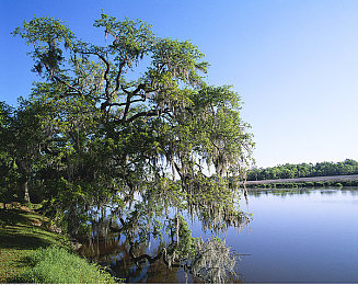 杨贵妃三级：盛世红颜深度解析，解锁宫廷传奇，改写大唐命运-2