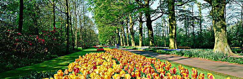 好 色 先 色TV：极限竞速地平线5，打造你的专属视觉艺术座驾