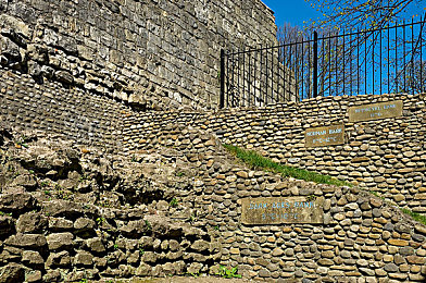 亚洲一一区二二区：东方极速新赛道，征服都市霓虹与雨林险境-3