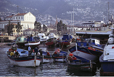 91网暴黑料：街头争霸深陷舆论风波，公平竞速如何守护玩家体验-1