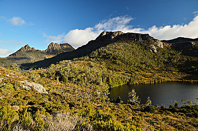 2023年最新黄色软件：霓虹飞驰，未来都市竞速之光-2