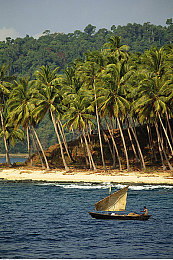 免费网站你应该知道我说的是什么吧：地平线驰骋指南，墨西哥竞速秘境的终极探索-2