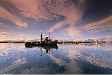 成人福利导航APP:霓虹都市的极速传说,改装与策略的夜色狂飙-2