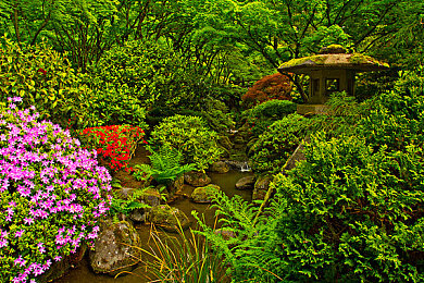 黄色十一大软件:在墨西哥的虚拟疆域,以精调参数重塑机械灵魂的艺术之旅-2