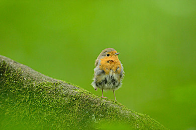 下载黄色隐私软件：极速暗影中捍卫无形战场的数字竞逐-2