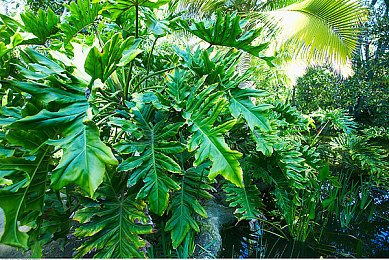 APP黄：昔日赛车手游巨头今何在，经典停更作品重温指南