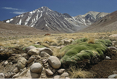 丝瓜草莓：田园赛车新作上线，探索自然赛道与改装乐趣-3