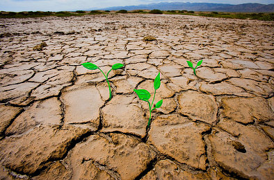 :驾驭虚拟赛道,从入门到精通的终极驾驶指南-3