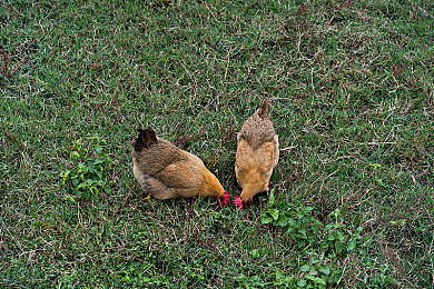 妈妈小孩小马拉大车：单亲母亲为爱出征，家用旧车竞速逆袭，温情与挑战并存的拉力之旅-2