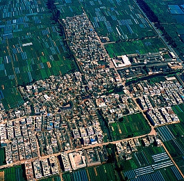 男生桶女生app：竞速新阵营，性别对抗引爆街头飙车热潮