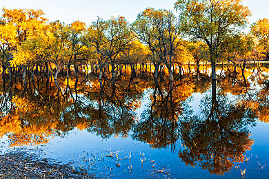 奴役狂虐狂虐狂暴虐狂虐：废土战车角斗今日上线，硬核改装生存挑战引爆竞技狂潮