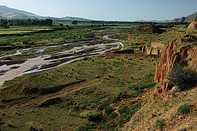 黄色软件app下载3.0.3：都市竞速新标杆，真实物理与开放街区引领移动赛车革新