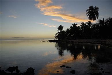 男人插女人的视频软件：极速回放，弯道艺术与竞技社区的完美融合