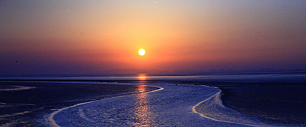 红猫大本：当硬核改装遇见拟真驾驶，打造你的专属赛道猛兽