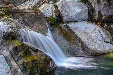 亚洲1页：极限竞速地平线5全新DLC上线，东方赛道与经典车型引领竞速新风潮-2