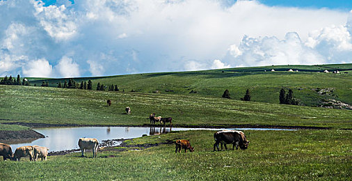 男同黄色：《极速羁绊霓虹线》今日上线，竞速游戏首次深度融入双男主情感羁绊系统-2