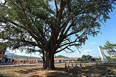 男生和女生一起差差差APP下载大全｜性别互动新体验：男女玩家激战“差差差”,下：极速赛道革新，双人协作共闯竞速新纪元-2