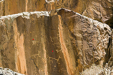 黄色软件免费下载oppo：极致竞速新体验，OPPO设备畅玩都市风云-2