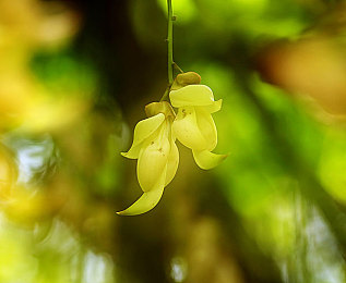 Melody女超人：音速解放，赛博都市奏响全新开放世界竞速RPG篇章