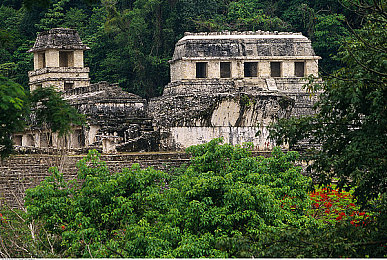男生女生差差差差差差：极限竞速地平线，风格交织的虚拟驾驶艺术-2